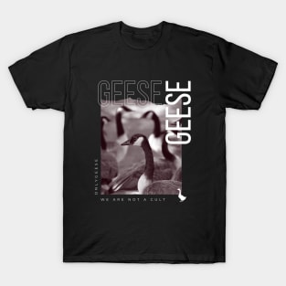 OnlyGeese - We Are Not A Cult T-Shirt